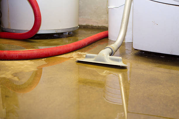 Best Commercial water damage restoration  in Higganum, CT