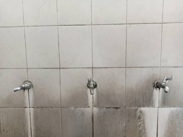 Best Flood damage cleanup  in Higganum, CT
