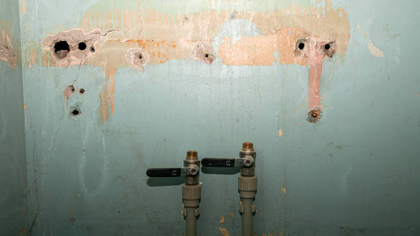 Best Water damage restoration near me  in Higganum, CT