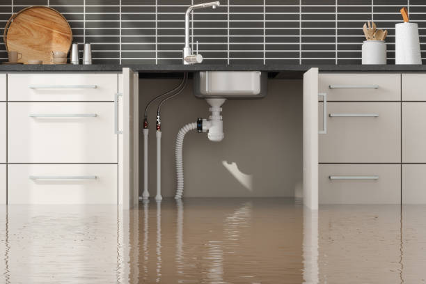 Best Flooded house restoration  in Higganum, CT