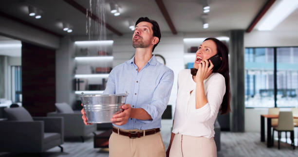 Best Professional water damage repair  in Higganum, CT