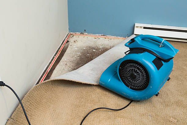 Best 24/7 water damage repair  in Higganum, CT